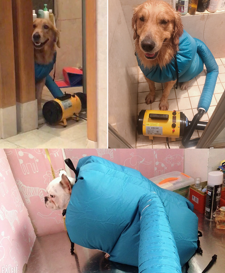 Pet Drying Bag & Towel Wrap – Fast-Drying Grooming Dryer for Dogs & Cats