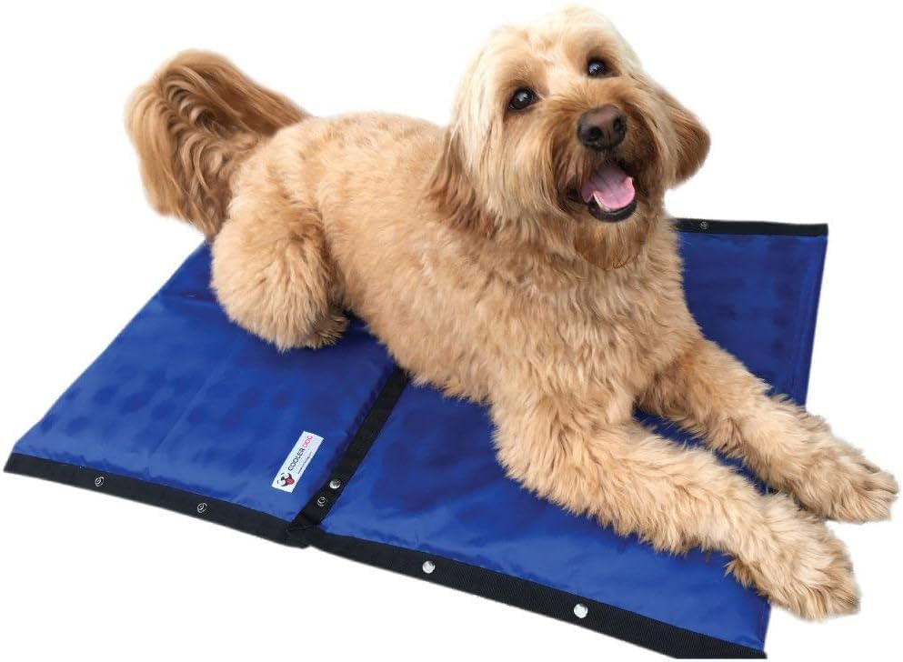 Cooling Dog Mat for Hot Weather – Reusable Hydro Cooling Pad 2-Pack