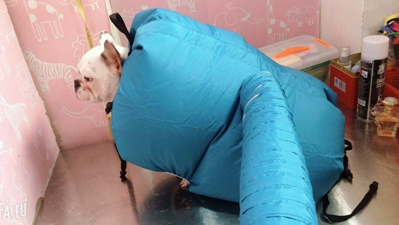 Pet Drying Bag & Towel Wrap – Fast-Drying Grooming Dryer for Dogs & Cats